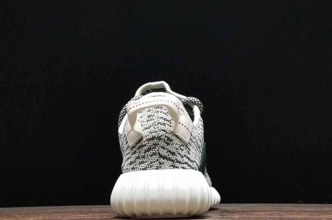 Best Fake Yeezy Boost 350 Turtle Dove For Sale (4)